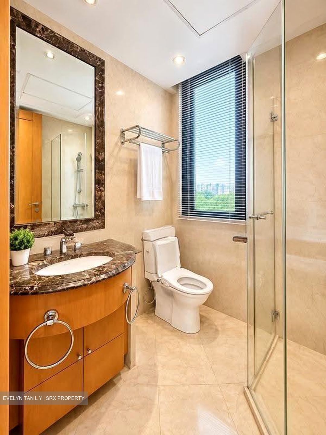 Ardmore Park (D10), Condominium #618076001